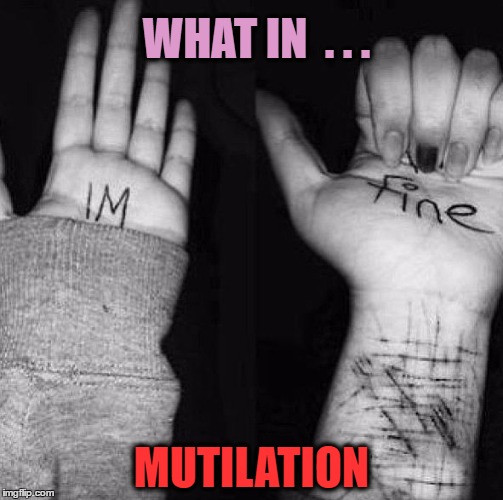 I'm so sorry | WHAT IN  . . . MUTILATION | image tagged in suicide,what in tarnation,edgy,memes,funny | made w/ Imgflip meme maker