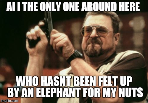 Am I The Only One Around Here Meme | AI I THE ONLY ONE AROUND HERE WHO HASNT BEEN FELT UP BY AN ELEPHANT FOR MY NUTS | image tagged in memes,am i the only one around here | made w/ Imgflip meme maker