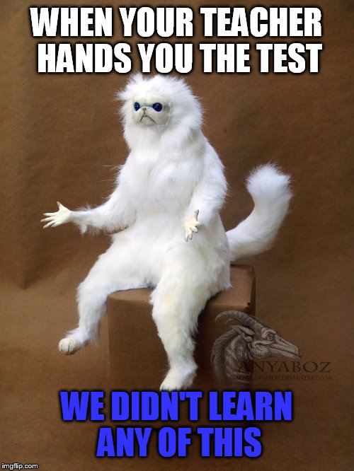 Persian Cat Room Guardian Single Meme | WHEN YOUR TEACHER HANDS YOU THE TEST; WE DIDN'T LEARN ANY OF THIS | image tagged in memes,persian cat room guardian single | made w/ Imgflip meme maker