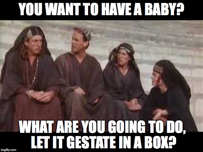 YOU WANT TO HAVE A BABY? WHAT ARE YOU GOING TO DO, LET IT GESTATE IN A BOX? | made w/ Imgflip meme maker