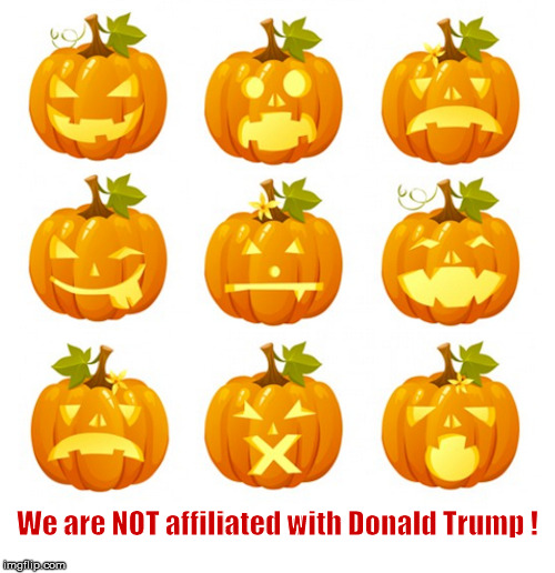 Pumpkins not with Trump | We are NOT affiliated with Donald Trump ! | image tagged in trump,pumpkins | made w/ Imgflip meme maker