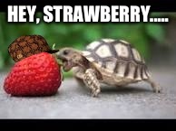 HEY, STRAWBERRY..... WHAT YA LOOKIN' AT!! | image tagged in strawberry | made w/ Imgflip meme maker