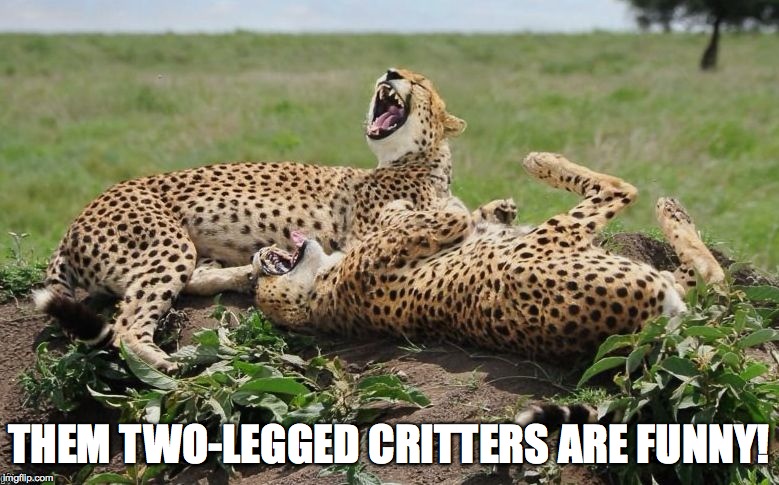 THEM TWO-LEGGED CRITTERS ARE FUNNY! | made w/ Imgflip meme maker