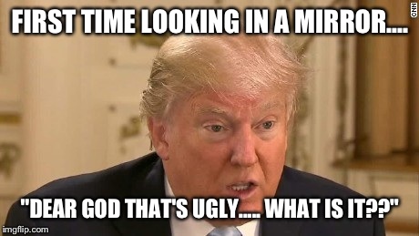 FIRST TIME LOOKING IN A MIRROR.... "DEAR GOD THAT'S UGLY..... WHAT IS IT??" | image tagged in funny,make donald drumpf again | made w/ Imgflip meme maker
