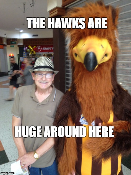 THE HAWKS ARE; HUGE AROUND HERE | image tagged in hawk  bill | made w/ Imgflip meme maker
