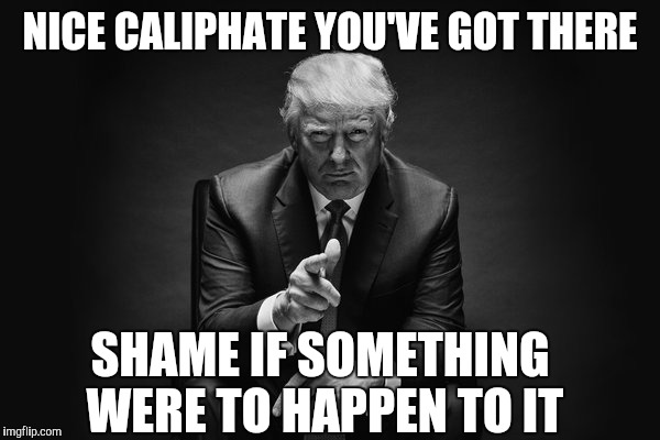 Donald Trump Thug Life | NICE CALIPHATE YOU'VE GOT THERE; SHAME IF SOMETHING WERE TO HAPPEN TO IT | image tagged in donald trump thug life | made w/ Imgflip meme maker