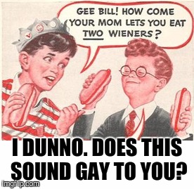 I DUNNO. DOES THIS SOUND GAY TO YOU? | made w/ Imgflip meme maker