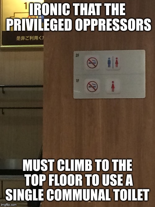 IRONIC THAT THE PRIVILEGED OPPRESSORS; MUST CLIMB TO THE TOP FLOOR TO USE A SINGLE COMMUNAL TOILET | image tagged in male privilege | made w/ Imgflip meme maker