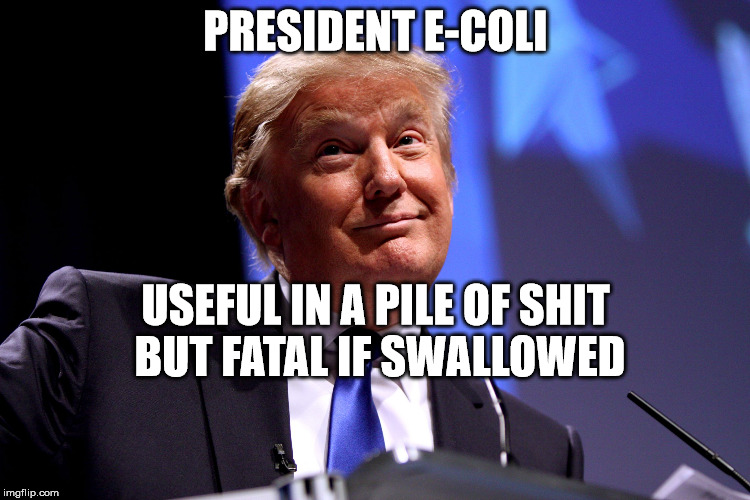 Donald Trump | PRESIDENT E-COLI; USEFUL IN A PILE OF SHIT BUT FATAL IF SWALLOWED | image tagged in donald trump | made w/ Imgflip meme maker