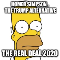 HOMER SIMPSON , THE TRUMP ALTERNATIVE THE REAL DEAL 2020 | made w/ Imgflip meme maker
