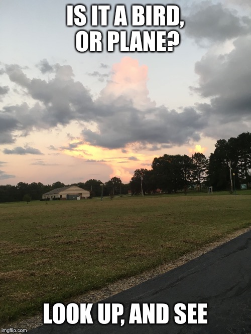 Airplane | IS IT A BIRD, OR PLANE? LOOK UP, AND SEE | image tagged in cloud movies | made w/ Imgflip meme maker