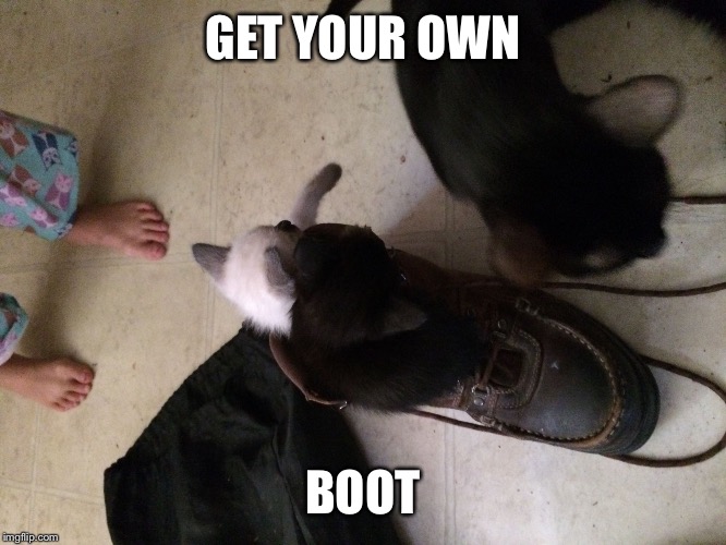 Kit N' Boot | GET YOUR OWN; BOOT | image tagged in cat power | made w/ Imgflip meme maker