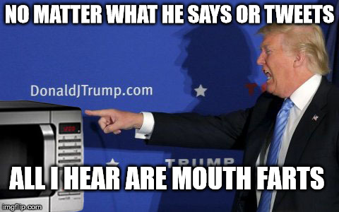 trump "mouth farts" | NO MATTER WHAT HE SAYS OR TWEETS; ALL I HEAR ARE MOUTH FARTS | image tagged in donald trump,wiretapping,imbecile | made w/ Imgflip meme maker