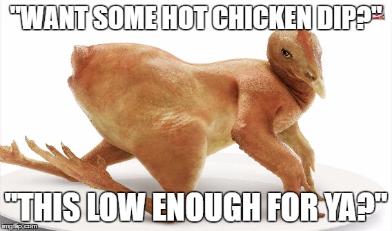 hot chicken dip | "WANT SOME HOT CHICKEN DIP?"; "THIS LOW ENOUGH FOR YA?" | image tagged in anti joke chicken | made w/ Imgflip meme maker