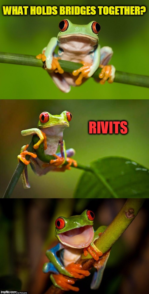 Phunny Phrog Puns | WHAT HOLDS BRIDGES TOGETHER? RIVITS | image tagged in frog puns,vince vance,infrastructure,construction,trumps infrastructure spending,punny frog puns | made w/ Imgflip meme maker