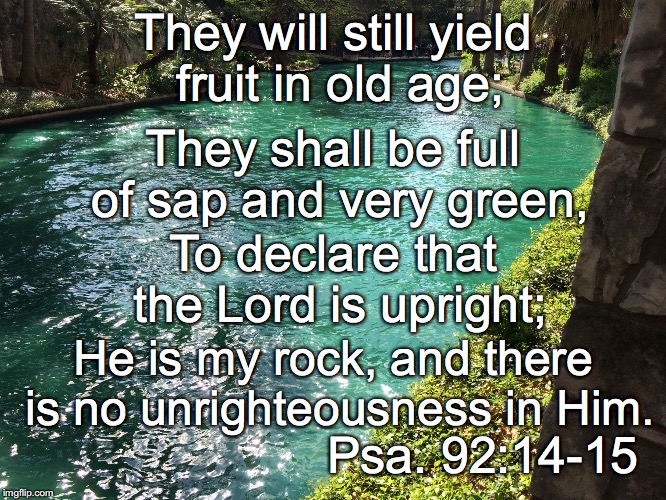 They will still yield fruit in old age;; They shall be full of sap and very green, To declare that the Lord is upright;; He is my rock, and there is no unrighteousness in Him. Psa. 92:14-15 | image tagged in green | made w/ Imgflip meme maker