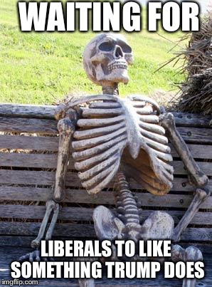 Waiting Skeleton | WAITING FOR; LIBERALS TO LIKE SOMETHING TRUMP DOES | image tagged in memes,waiting skeleton | made w/ Imgflip meme maker