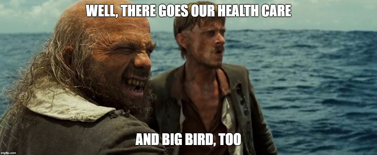 there goes our health care | WELL, THERE GOES OUR HEALTH CARE; AND BIG BIRD, TOO | image tagged in big bird | made w/ Imgflip meme maker