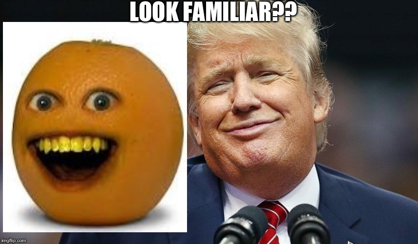 LOOK FAMILIAR?? | image tagged in funny,donald trump | made w/ Imgflip meme maker