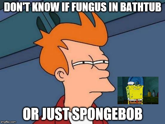 Bathtub from hell | DON'T KNOW IF FUNGUS IN BATHTUB; OR JUST SPONGEBOB | image tagged in memes,futurama fry | made w/ Imgflip meme maker
