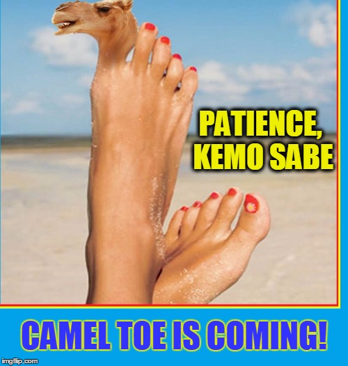 It's Been a Tough Winter & Spring... YUK! | PATIENCE, KEMO SABE; CAMEL TOE IS COMING! | image tagged in vince vance,summer,summer time,endless summer,camel toe,bikini bottom | made w/ Imgflip meme maker