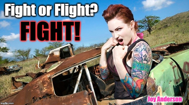 When the chips are down and someone is stepping on your neck, FIGHT! Never give away your power. | Fight or Flight? FIGHT! Joy Anderson | image tagged in fight,power,no abuse,stand up for yourself | made w/ Imgflip meme maker