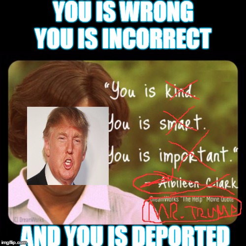 YOU IS WRONG; YOU IS INCORRECT; AND YOU IS DEPORTED | image tagged in aibileen clark | made w/ Imgflip meme maker
