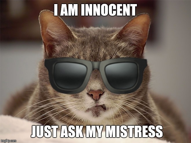 I AM INNOCENT JUST ASK MY MISTRESS | made w/ Imgflip meme maker