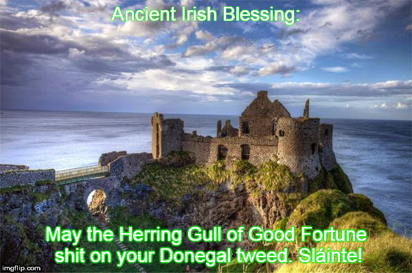 Ancient Irish Blessing | Ancient Irish Blessing:; May the Herring Gull of Good Fortune shit on your Donegal tweed. Sláinte! | image tagged in ancient,irish,st patrick's day,prayer,happy,memes | made w/ Imgflip meme maker