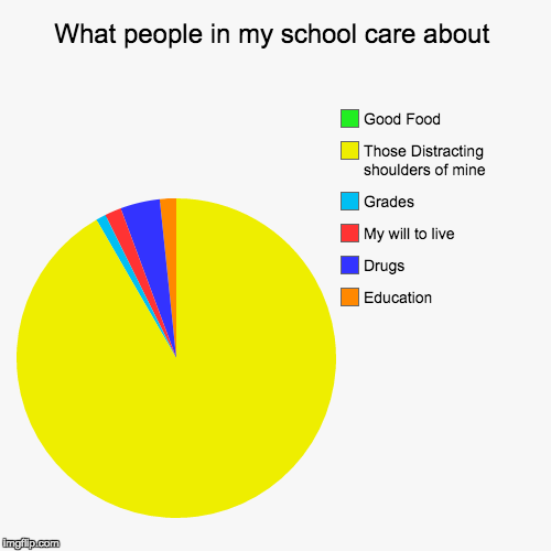 image tagged in funny,pie charts | made w/ Imgflip chart maker