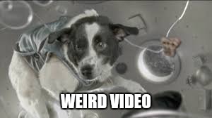 WEIRD VIDEO | made w/ Imgflip meme maker