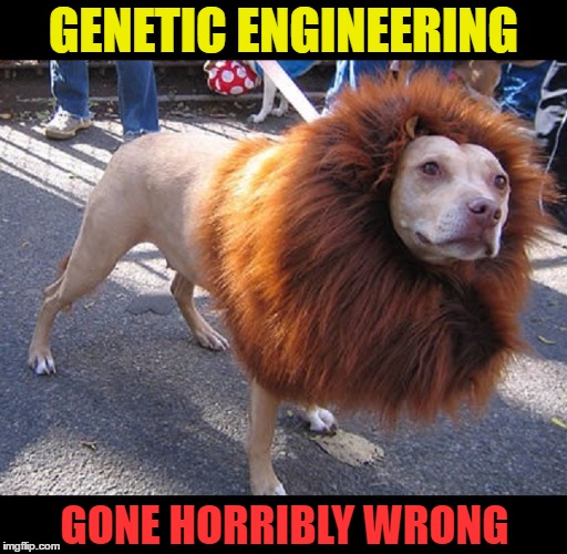 Cross-Breeding Run Amok | GENETIC ENGINEERING; GONE HORRIBLY WRONG | image tagged in funny memes,genetic engineering,wmp,weird science,mutation | made w/ Imgflip meme maker