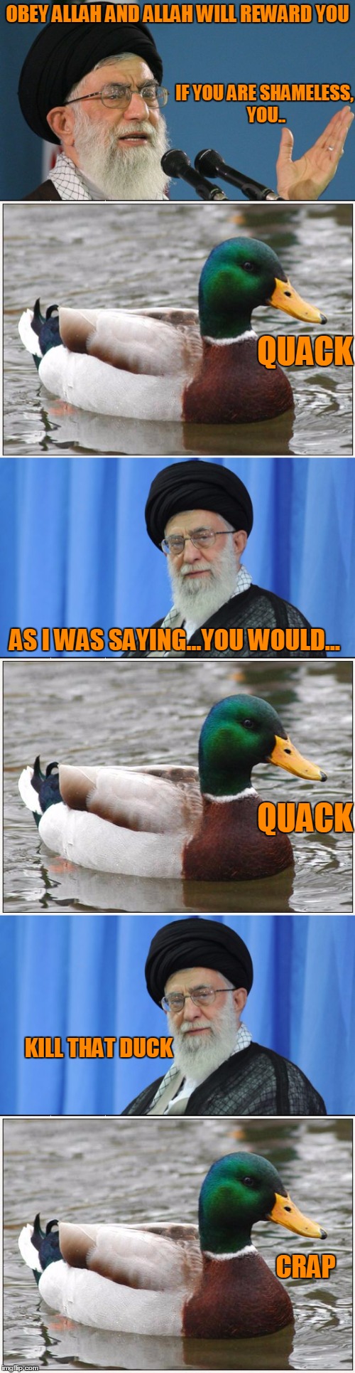 Heckling duck. | OBEY ALLAH AND ALLAH WILL REWARD YOU; IF YOU ARE SHAMELESS, YOU.. QUACK; AS I WAS SAYING...YOU WOULD... QUACK; KILL THAT DUCK; CRAP | image tagged in duck,insulting duck | made w/ Imgflip meme maker