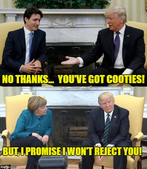 NO THANKS...  YOU'VE GOT COOTIES! BUT, I PROMISE I WON'T REJECT YOU! | image tagged in handshake fail | made w/ Imgflip meme maker