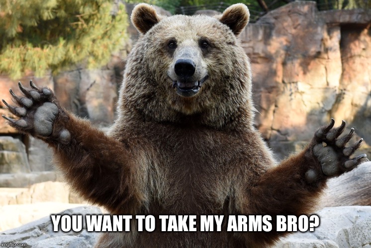 YOU WANT TO TAKE MY ARMS BRO? | made w/ Imgflip meme maker