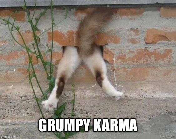 GRUMPY KARMA | made w/ Imgflip meme maker