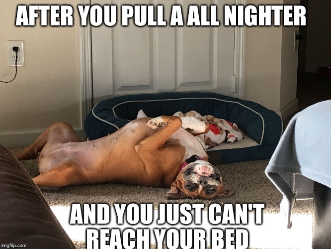 Faith |  AFTER YOU PULL A ALL NIGHTER; AND YOU JUST CAN'T REACH YOUR BED | image tagged in faith | made w/ Imgflip meme maker