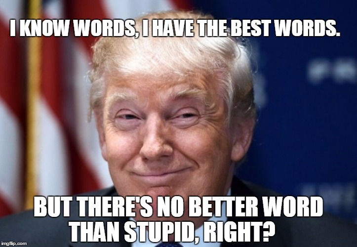 actual trump quotes |  I KNOW WORDS, I HAVE THE BEST WORDS. BUT THERE'S NO BETTER WORD THAN STUPID, RIGHT? | image tagged in donald trump,trump,stupid,quote,words | made w/ Imgflip meme maker