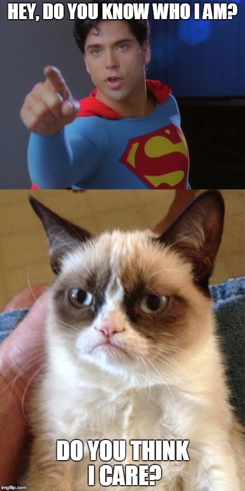 Gerard vs Grumpy Cat | HEY, DO YOU KNOW WHO I AM? DO YOU THINK I CARE? | image tagged in gerard christopher,grumpy cat | made w/ Imgflip meme maker