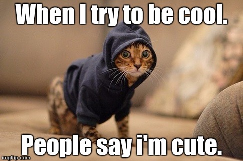 Hoody Cat |  When I try to be cool. People say i'm cute. | image tagged in memes,hoody cat | made w/ Imgflip meme maker