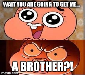 World of Gumball Anais | WAIT YOU ARE GOING TO GET ME... A BROTHER?! | image tagged in world of gumball anais | made w/ Imgflip meme maker