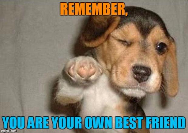 Pointing puppy | REMEMBER, YOU ARE YOUR OWN BEST FRIEND | image tagged in pointing puppy | made w/ Imgflip meme maker