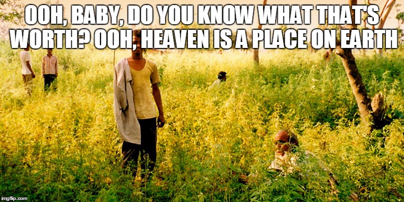 Garden of eden | OOH, BABY, DO YOU KNOW WHAT THAT'S WORTH?
OOH, HEAVEN IS A PLACE ON EARTH | image tagged in harold and kumar,marijuana,medical marijuana,memes,cannabis,i wish | made w/ Imgflip meme maker