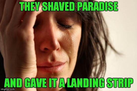 First World Problems Meme | THEY SHAVED PARADISE AND GAVE IT A LANDING STRIP | image tagged in memes,first world problems | made w/ Imgflip meme maker