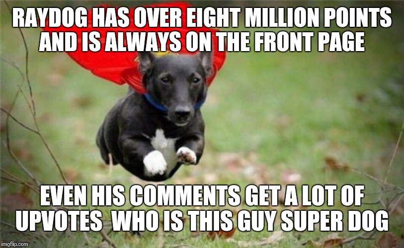 Is Raydog super dog | RAYDOG HAS OVER EIGHT MILLION POINTS AND IS ALWAYS ON THE FRONT PAGE; EVEN HIS COMMENTS GET A LOT OF UPVOTES  WHO IS THIS GUY SUPER DOG | image tagged in funny,memes,raydog | made w/ Imgflip meme maker