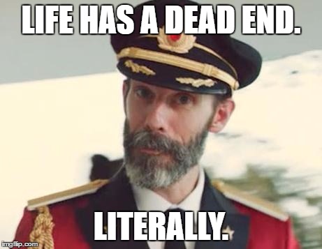 Captain Obvious | LIFE HAS A DEAD END. LITERALLY. | image tagged in memes,captain obvious | made w/ Imgflip meme maker