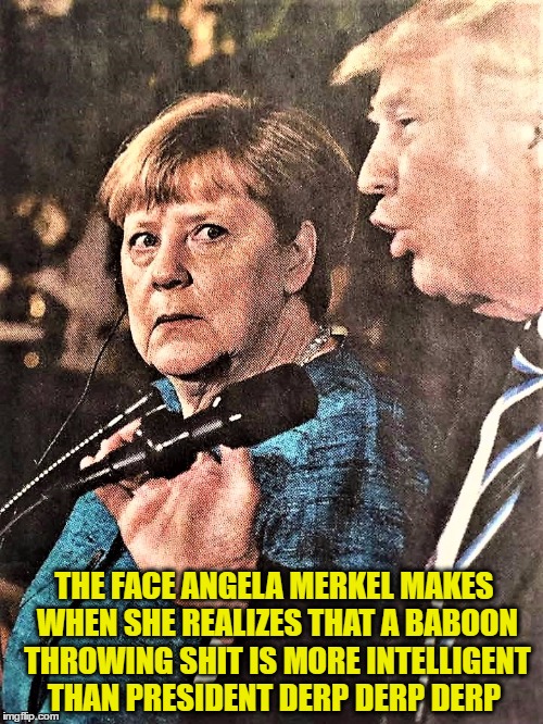 THE FACE ANGELA MERKEL MAKES WHEN SHE REALIZES THAT A BABOON THROWING SHIT IS MORE INTELLIGENT THAN PRESIDENT DERP DERP DERP | image tagged in derp | made w/ Imgflip meme maker