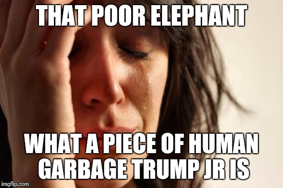 First World Problems Meme | THAT POOR ELEPHANT WHAT A PIECE OF HUMAN GARBAGE TRUMP JR IS | image tagged in memes,first world problems | made w/ Imgflip meme maker