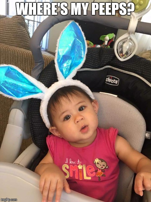 Where my peeps at?  |  WHERE'S MY PEEPS? | image tagged in rylie,peeps,happy easter,easter,cute,baby | made w/ Imgflip meme maker