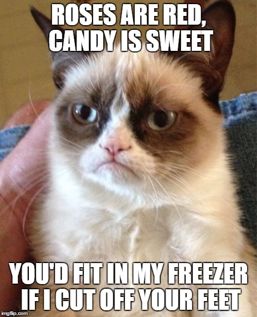 Grumpy Cat Meme | ROSES ARE RED, CANDY IS SWEET; YOU'D FIT IN MY FREEZER IF I CUT OFF YOUR FEET | image tagged in memes,grumpy cat | made w/ Imgflip meme maker